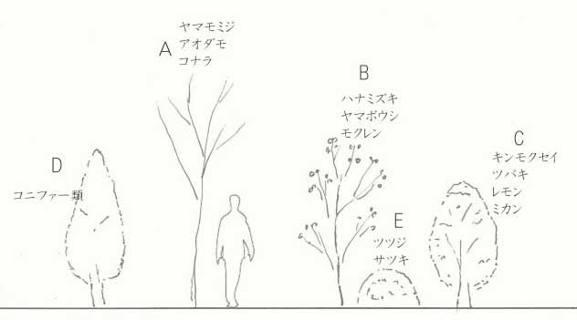 樹木の種類と選び方