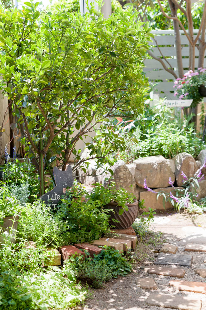 和風の庭を雑貨屋さんの可愛い庭に全面リフォーム