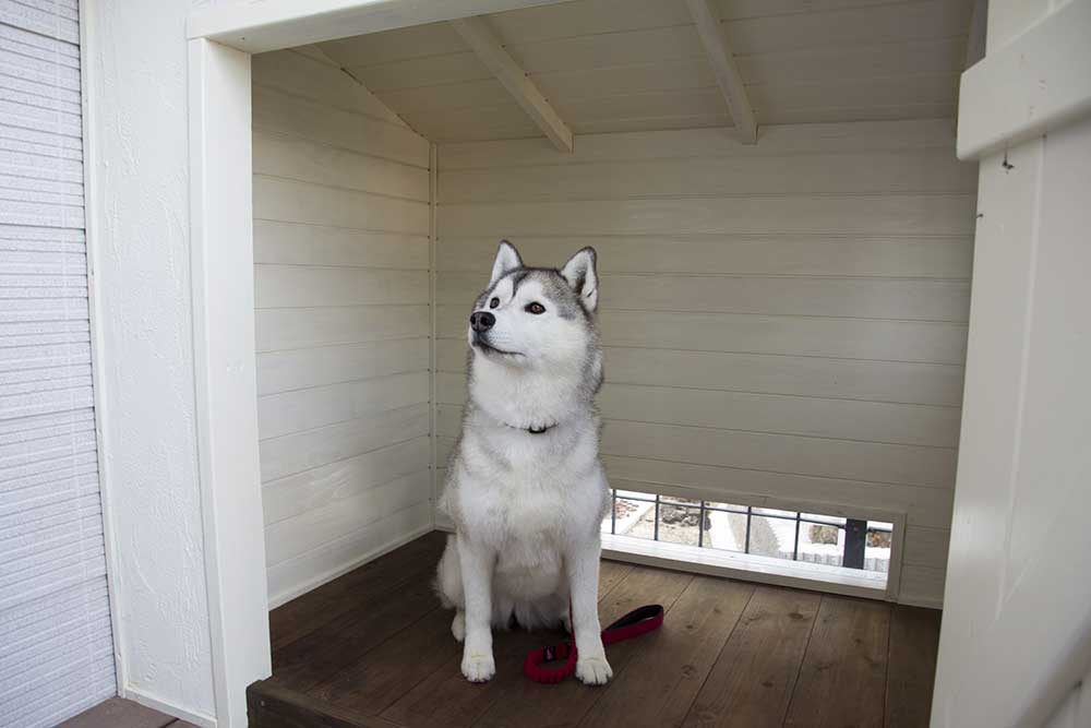 ウッドデッキの上のオリジナル犬小屋